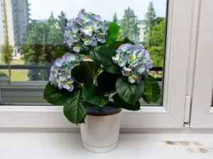 Prodej bytu 3+1, Havířov - Město, Dlouhá třída, 95 m2