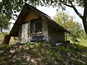 Prodej sadu/vinice, Bzenec, 2460 m2