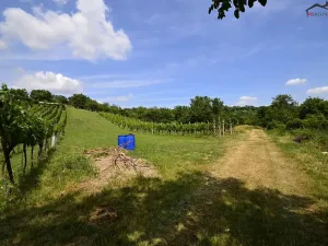Prodej sadu/vinice, Bzenec, 2460 m2