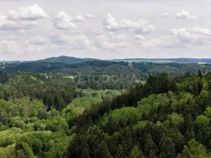 Prodej pozemku pro bydlení, Bezdružice, Úterská, 900 m2