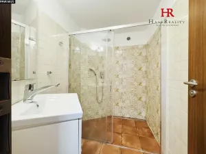 Pronájem bytu 2+kk, Benešov, Vnoučkova, 50 m2