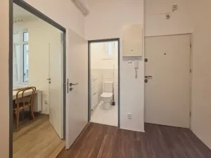 Prodej bytu 2+1, Brno - Staré Brno, Pekařská, 83 m2