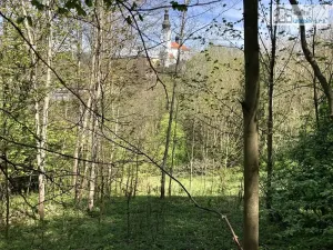 Prodej pozemku pro bydlení, Branná, 3500 m2