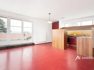 Prodej bytu 6+kk a větší, Brno, Vinařská, 171 m2