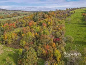 Prodej pozemku, Jankovice, 10000 m2