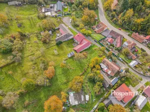 Prodej pozemku, Jankovice, 10000 m2