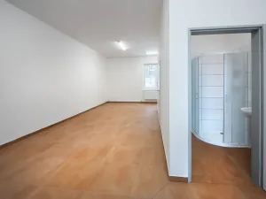 Pronájem skladu, Hořín, 1933 m2