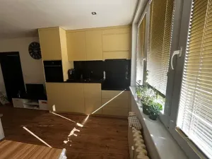 Prodej bytu 1+1, Frýdek-Místek, Beethovenova, 40 m2