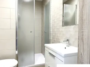 Pronájem bytu 2+kk, Plzeň, Karla Steinera, 36 m2