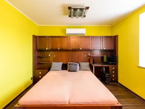 Pronájem bytu 1+kk, Plzeň, Kardinála Berana, 32 m2