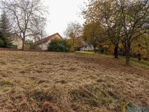 Prodej pozemku pro bydlení, Příluka, 805 m2