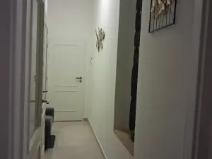 Pronájem bytu 1+kk, Praha - Nové Město, Petrská, 25 m2