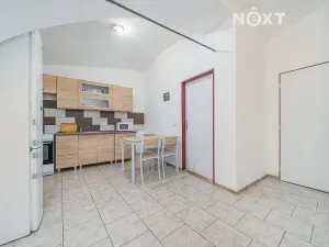 Prodej rodinného domu, Palonín, 253 m2