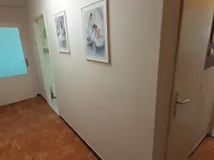 Prodej bytu 3+1, Sedlčany, Pod Strojírnami, 78 m2