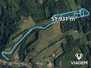 Prodej podílu lesa, Metylovice, 11649 m2