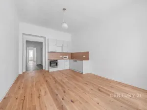 Pronájem bytu 2+kk, Praha - Nusle, Sezimova, 54 m2