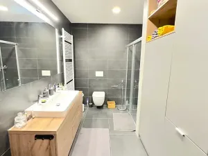 Pronájem bytu 2+kk, Brno, Křenová, 72 m2