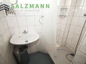 Prodej rodinného domu, Horšovský Týn, 280 m2