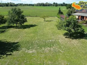 Prodej rodinného domu, Ostrava, Proskovická, 310 m2