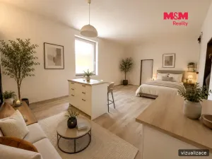 Pronájem bytu 1+kk, Ploskovice, 50 m2
