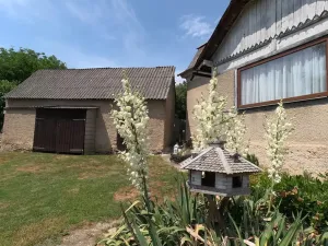 Prodej rodinného domu, Rohle, 160 m2