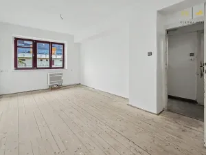 Prodej bytu 1+1, Brno, Dvorského, 39 m2