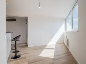 Prodej bytu 2+kk, Praha - Vysočany, Skloněná, 74 m2