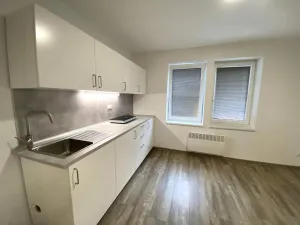 Pronájem bytu 1+kk, Brno - Maloměřice, Hády, 18 m2