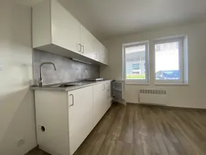 Pronájem bytu 1+kk, Brno - Maloměřice, Hády, 18 m2