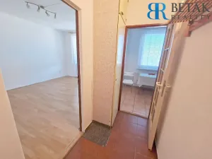 Pronájem bytu 1+1, Přerov - Přerov I-Město, Velká Dlážka, 35 m2
