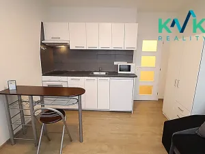 Pronájem bytu 1+kk, Sokolov, Mánesova, 22 m2