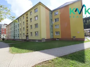 Prodej bytu 2+1, Kraslice, Pohraniční stráže, 50 m2