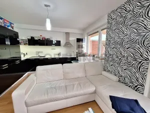 Pronájem bytu 2+kk, Olomouc, Schweitzerova, 48 m2