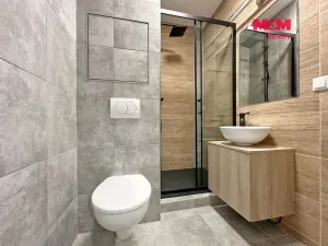 Pronájem bytu 1+kk, České Budějovice - České Budějovice 5, Dobrovodská, 20 m2