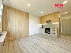 Pronájem bytu 1+kk, České Budějovice - České Budějovice 5, Dobrovodská, 20 m2