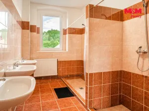 Pronájem ubytování, Levín - Horní Vysoké, 13087 m2