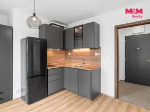 Prodej bytu 1+kk, Praha - Ruzyně, Stočesova, 26 m2