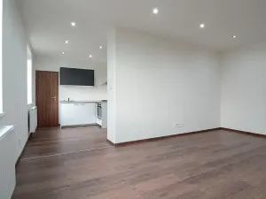 Pronájem bytu 1+kk, Ostrava, Hasičská, 40 m2
