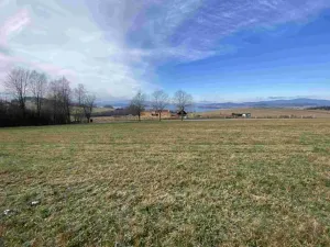 Dražba louky, Černá v Pošumaví, 2972 m2
