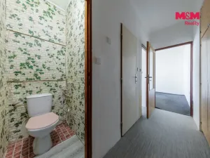 Prodej bytu 3+1, Nová Ves, 59 m2
