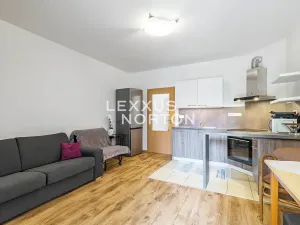 Prodej bytu 1+kk, Praha - Hloubětín, Nepelova, 29 m2