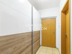 Prodej bytu 1+kk, Praha - Hloubětín, Nepelova, 29 m2