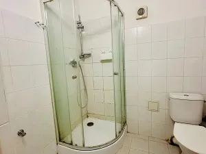Pronájem bytu 1+kk, Praha - Žižkov, Fibichova, 25 m2