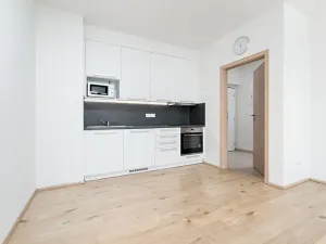 Pronájem bytu 2+kk, Plzeň, V Zahrádkách, 53 m2