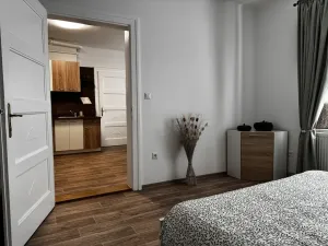 Pronájem bytu 2+kk, Ostrava - Moravská Ostrava, Sládkova, 54 m2
