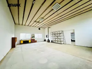 Pronájem výrobních prostor, Kostelec, 92 m2