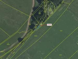 Dražba lesa, Volfířov, 29 m2