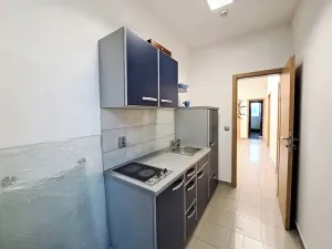 Pronájem obchodního prostoru, Tečovice, 890 m2