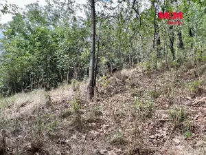 Prodej pozemku pro bydlení, Pyšely - Zaječice, 2037 m2