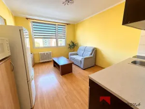 Pronájem bytu 1+1, Roudnice nad Labem, Bořivojova, 35 m2